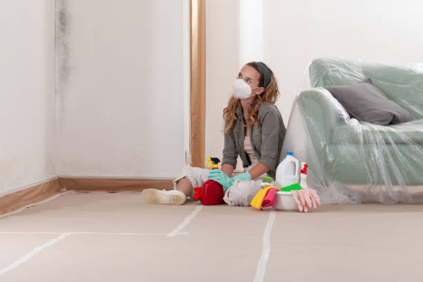 Reliable Basement Mold Removal contractor in Danville, IL by WQB Mold Removal